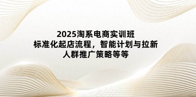 (4.25)2025淘系电商实训班：标准化起店流程，智能计划与拉新，人群推广策略等等